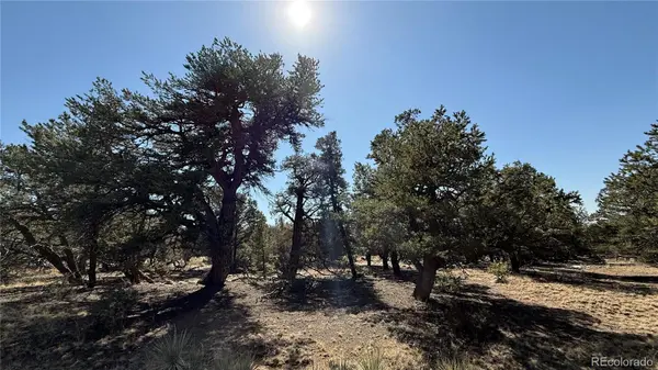 1872 Rockyview WAY, Crestone, CO 81131