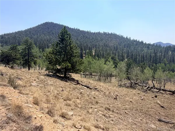 234 Warclub CT, Jefferson, CO 80456