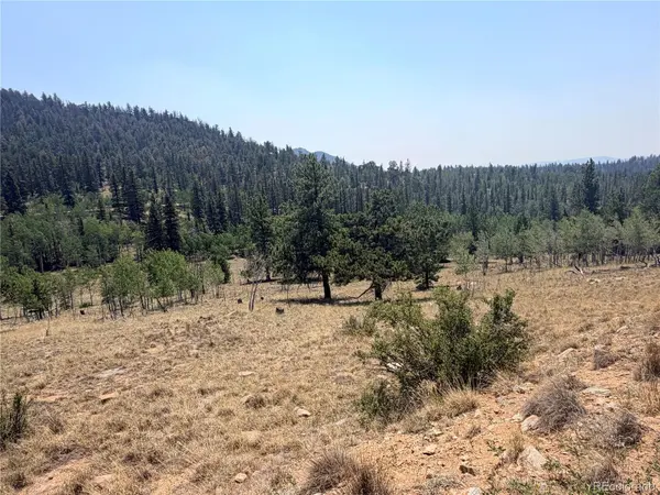 234 Warclub CT, Jefferson, CO 80456