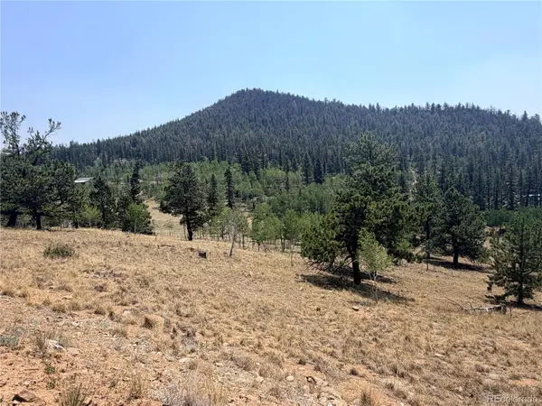 234 Warclub CT, Jefferson, CO 80456
