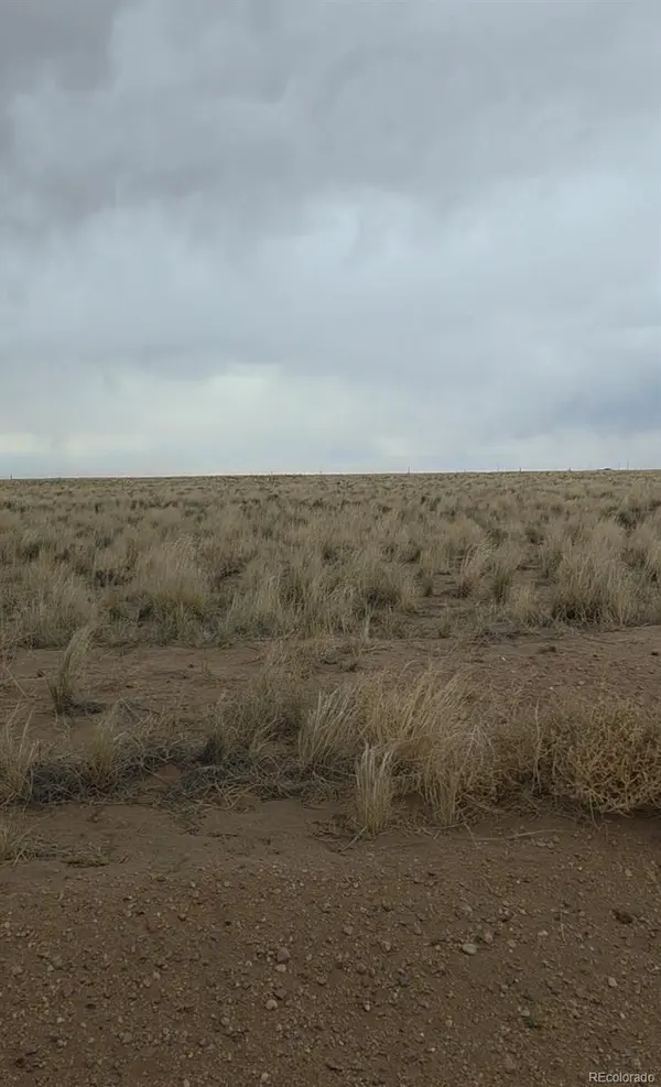Lot 1 Brown Rd., Blanca, CO 81123