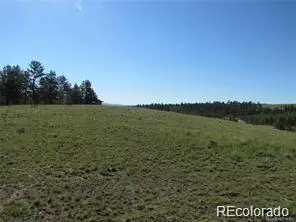 257 Bolster DR, Hartsel, CO 80449