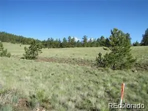 257 Bolster DR, Hartsel, CO 80449