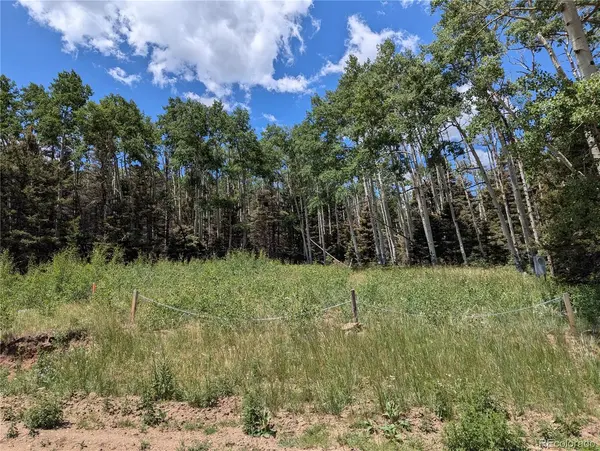 3070 Henderson DR, Fort Garland, CO 81133