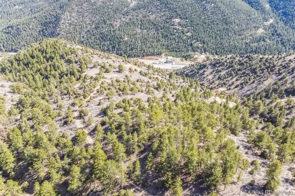 Wild Wagoner Tr, Dumont, CO 80452