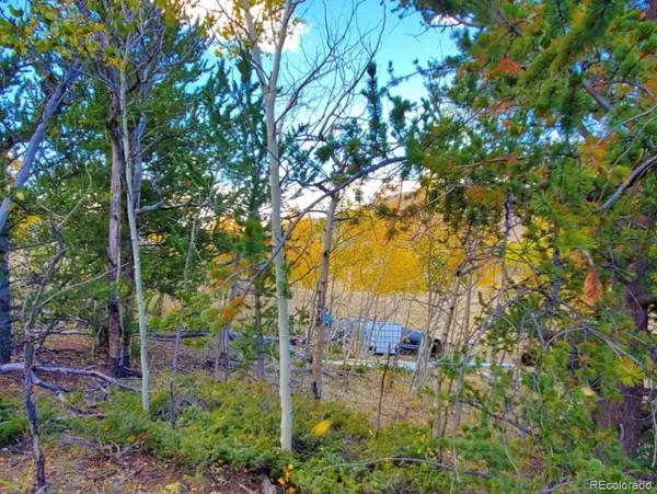 2000 Hard Hickory TRL, Guffey, CO 80820