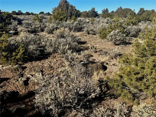 Lot 17 Largo Vista, San Luis, CO 81152