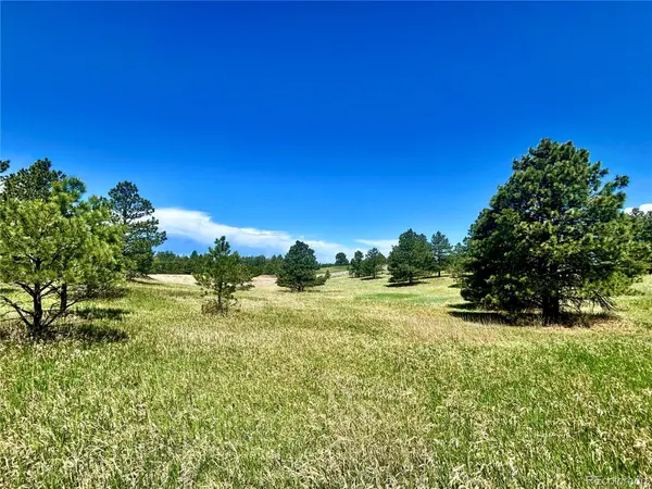 11455 Random Valley CIR, Parker, CO 80134