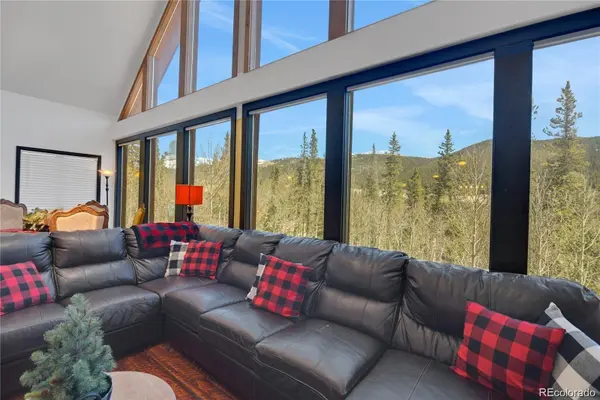 496 Quartzville RD, Alma, CO 80420