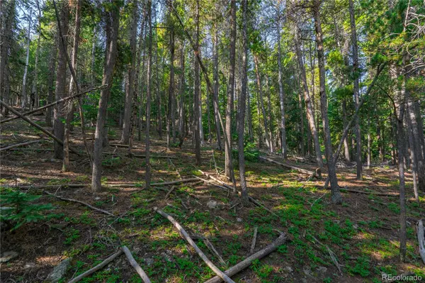 000 Aspenwood LN, Evergreen, CO 80439