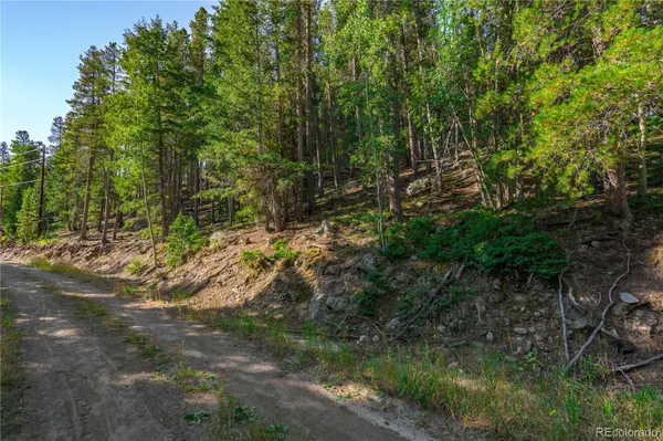 000 Aspenwood LN, Evergreen, CO 80439