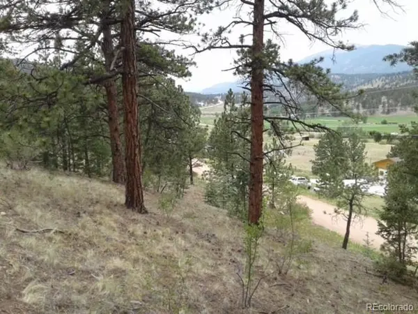 364 County Road 64, Shawnee, CO 80475