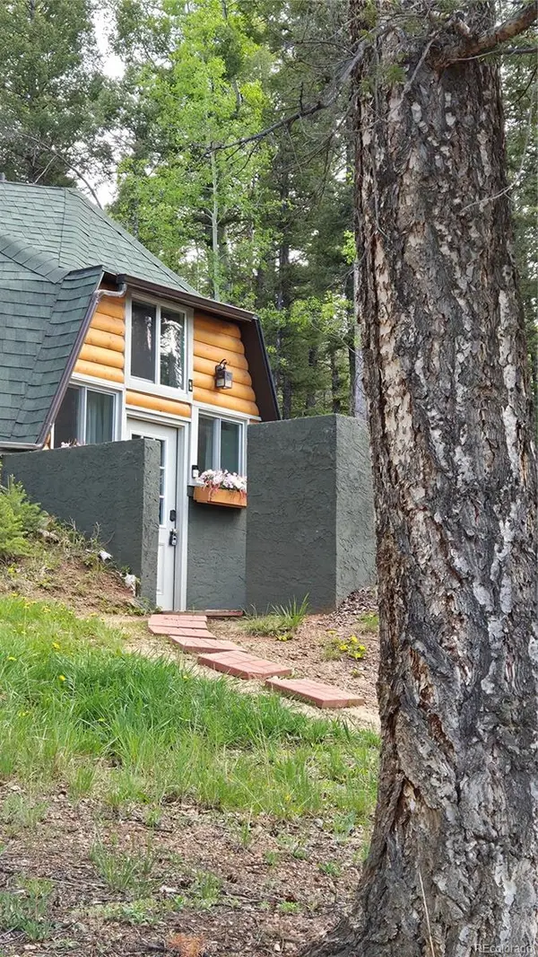 776 Jolly Rogue DR, Divide, CO 80814