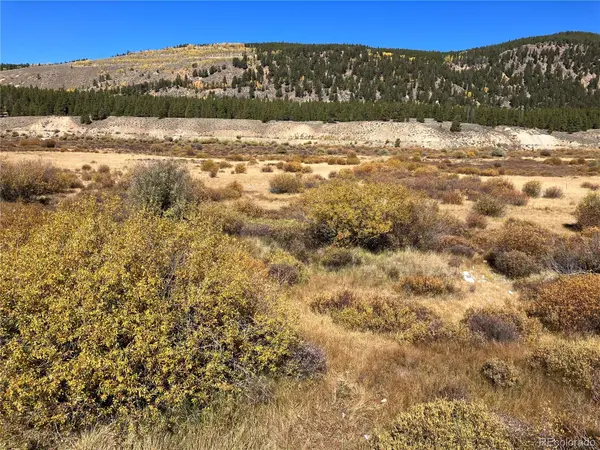 Leadville Land, Leadville, CO 80461