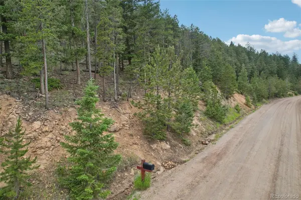 Elk Valley DR, Evergreen, CO 80439
