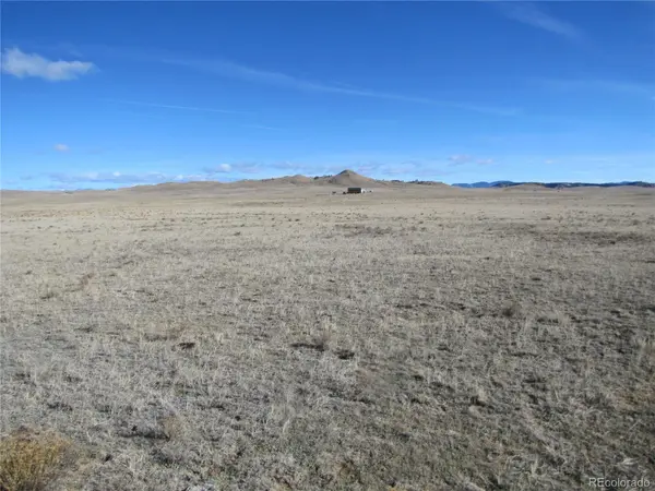1642 Wasatch RD, Hartsel, CO 80449