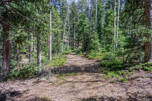 2763 N Mountain Estates RD, Florissant, CO 80816