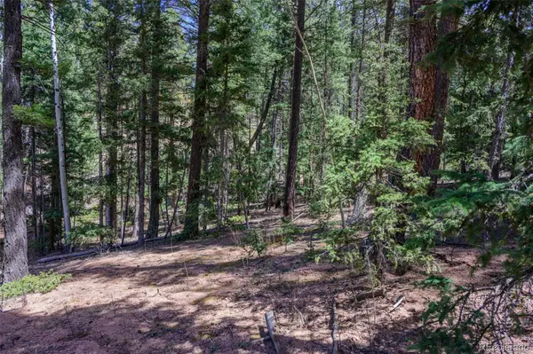 2763 N Mountain Estates RD, Florissant, CO 80816