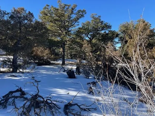 Lot 7898 Tiernan RD, Fort Garland, CO 81133