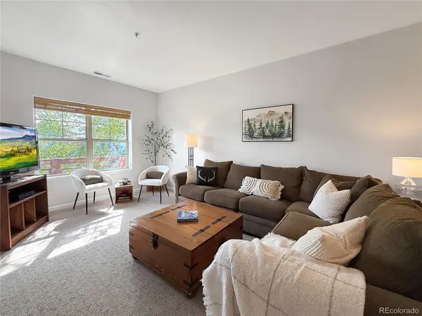 37 Waterside CT #C 206, Fraser, CO 80442,Video Tour
