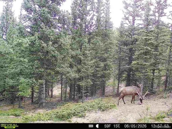 6601 Heckman RD, San Luis, CO 81152