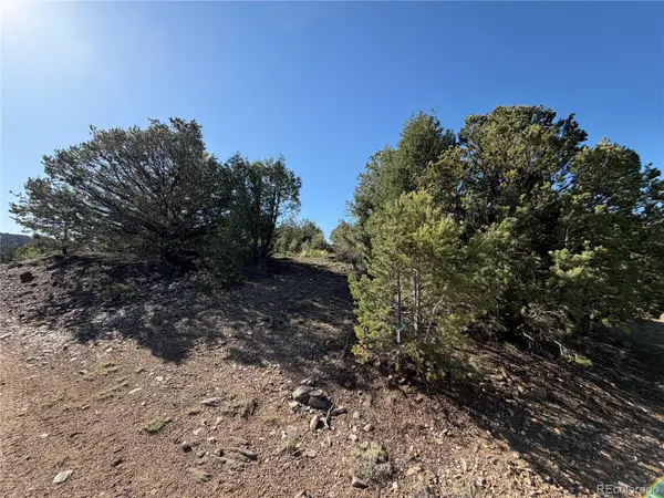 20 Molly LN, Cotopaxi, CO 81223