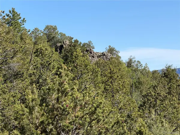 20 Molly LN, Cotopaxi, CO 81223