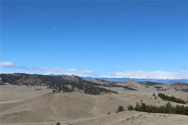 Lot 26 Wolfe RD, Hartsel, CO 80449