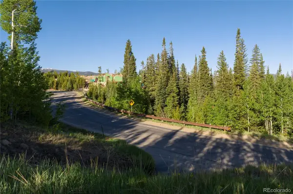 1414 Pioneer TRL, Fraser, CO 80442