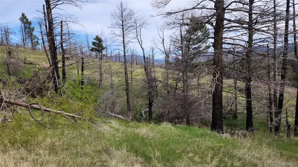 449 Duckworth DR, Fort Garland, CO 81133