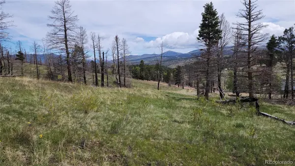 449 Duckworth DR, Fort Garland, CO 81133