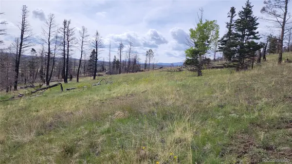 449 Duckworth DR, Fort Garland, CO 81133