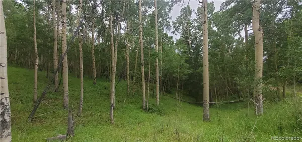 Lot 6882 Donna RD, Fort Garland, CO 81133