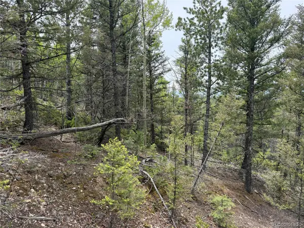 Lot 6795 Starkweather RD, Fort Garland, CO 81133