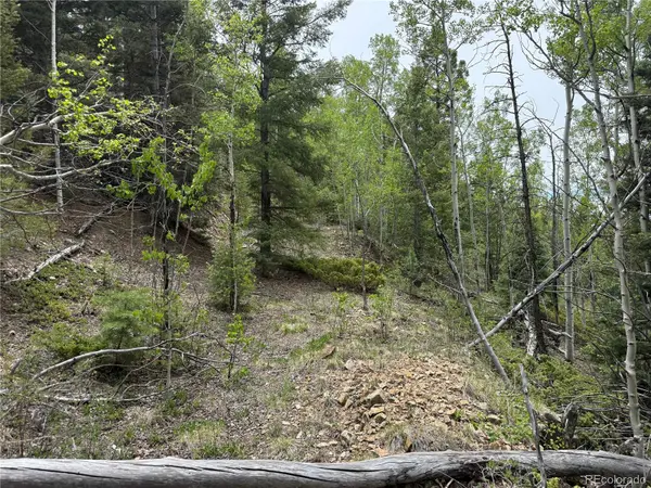 Lot 6795 Starkweather RD, Fort Garland, CO 81133
