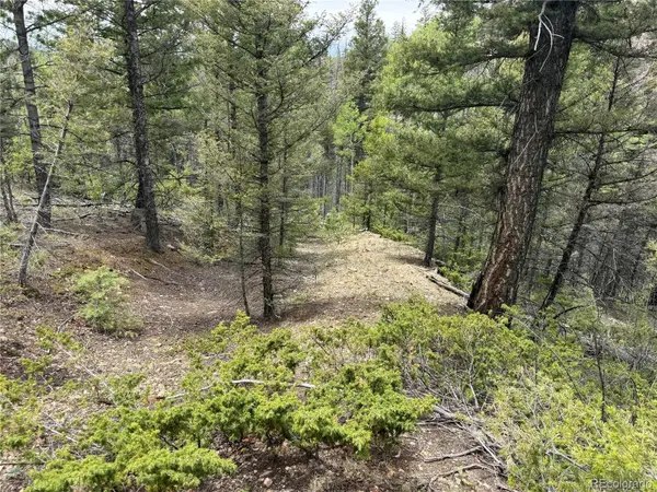 Lot 6795 Starkweather RD, Fort Garland, CO 81133