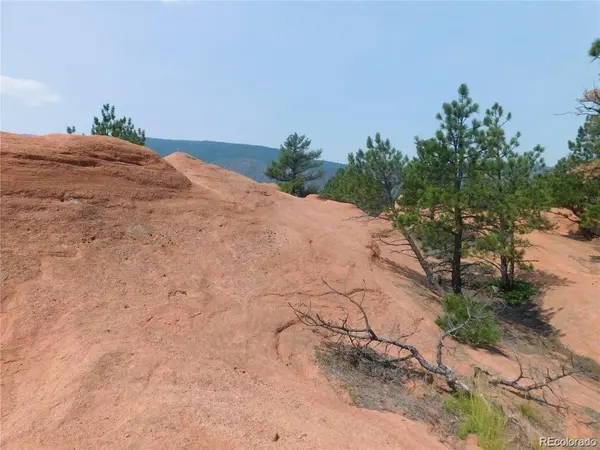 4356 Elati RD, Larkspur, CO 80118