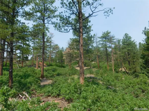 4356 Elati RD, Larkspur, CO 80118