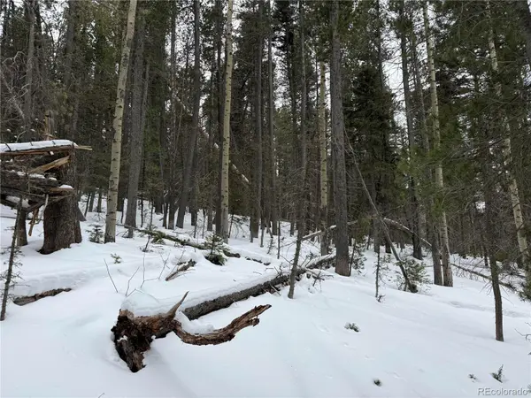 Lot 2806 Moir DR, Fort Garland, CO 81133