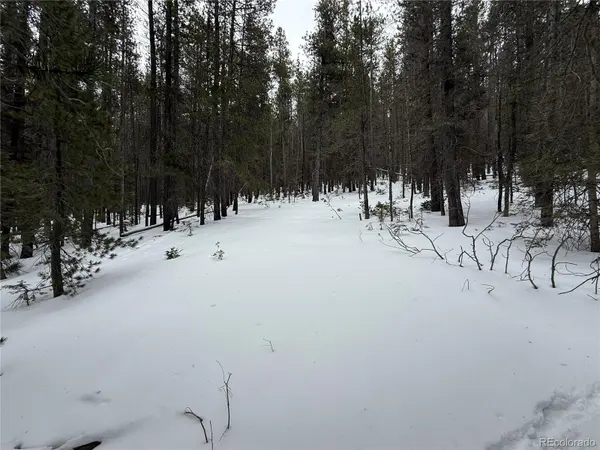 Lot 2806 Moir DR, Fort Garland, CO 81133