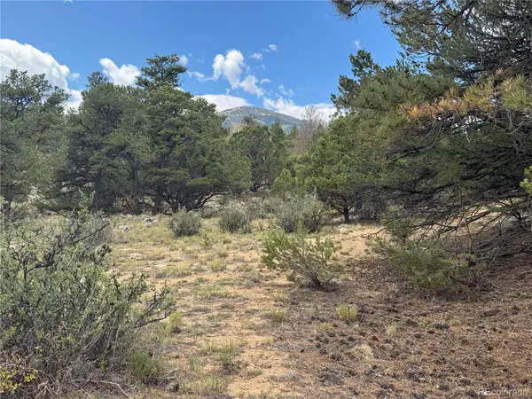 30110 Princeton HLS, Buena Vista, CO 81211