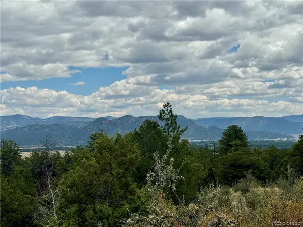 30110 Princeton HLS, Buena Vista, CO 81211