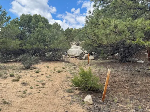 30110 Princeton HLS, Buena Vista, CO 81211