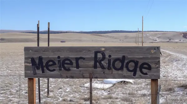 3164 Meier Ridge TRL, Fairplay, CO 80440