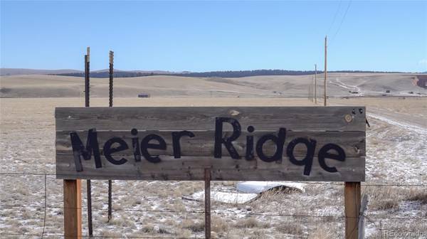 3164 Meier Ridge TRL, Fairplay, CO 80440