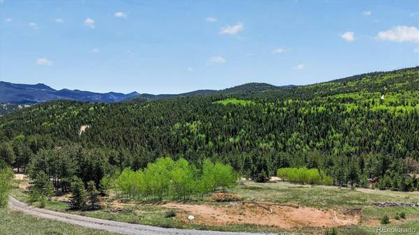 795 Russell Gulch RD, Central City, CO 80427