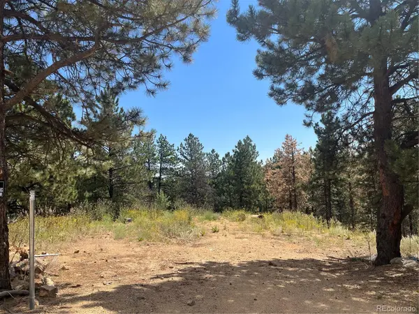 795 Russell Gulch RD, Central City, CO 80427
