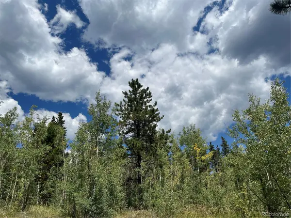 795 Russell Gulch RD, Central City, CO 80427