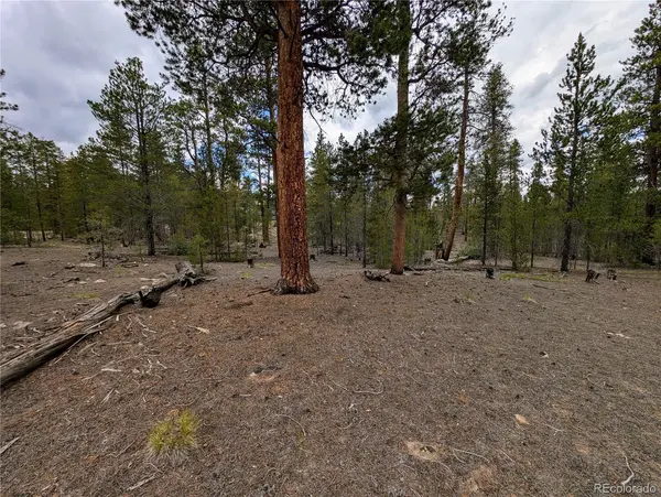437 Juniper DR, Twin Lakes, CO 81251