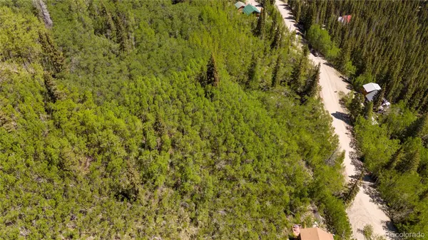 1255 Quartzville RD, Fairplay, CO 80440